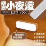 智能人體感應燈